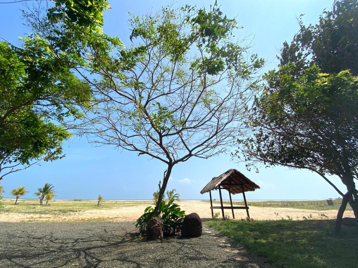 Dream Garden Hotel Arugam Bay Buitenkant foto